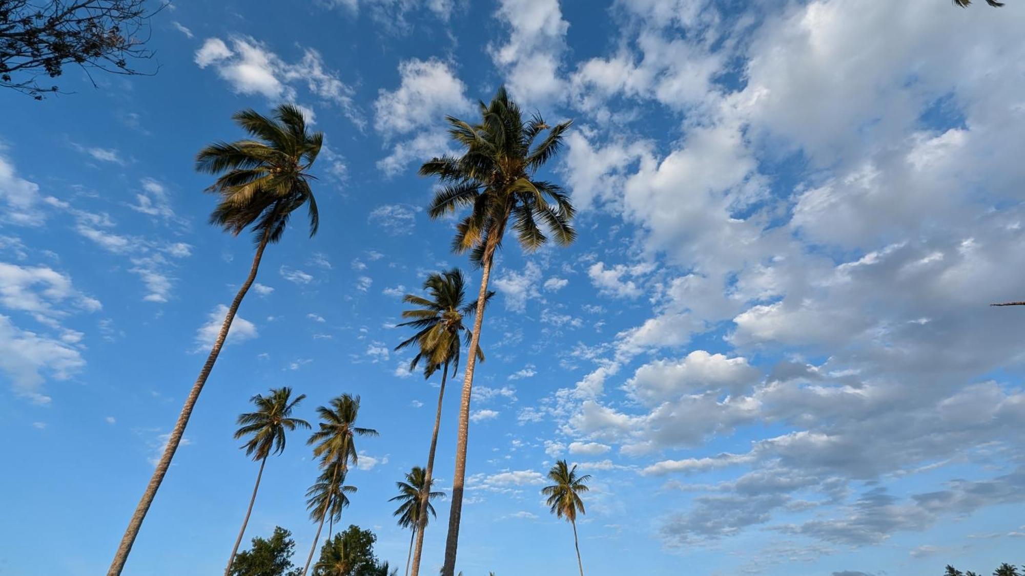 Villa Adelina Zanzibár Kültér fotó